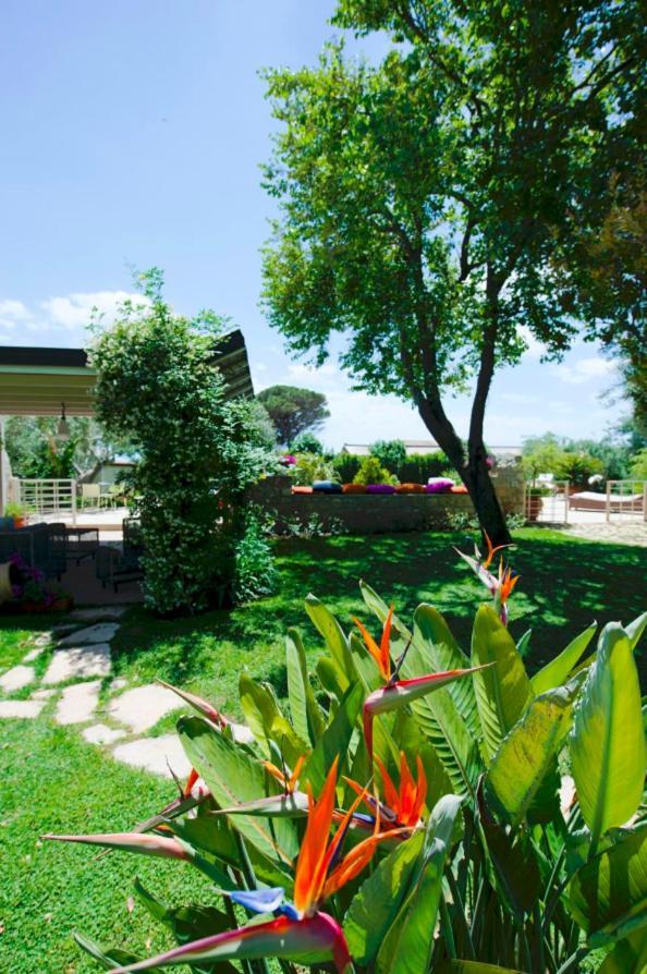 מלון Stone House מודיקה מראה חיצוני תמונה